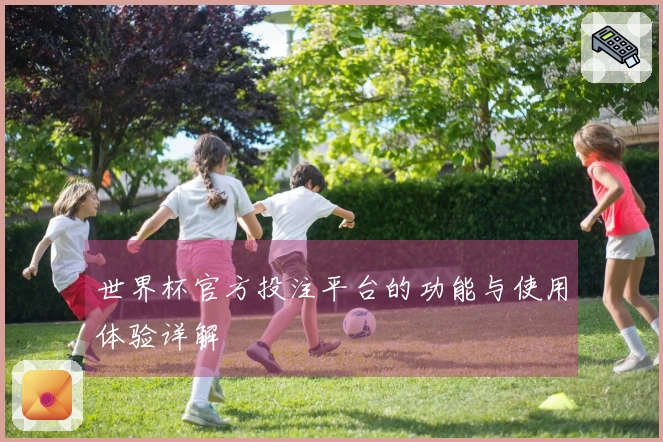 世界杯官方投注平台的功能与使用体验详解