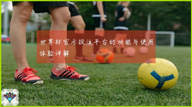 世界杯官方投注平台的功能与使用体验详解