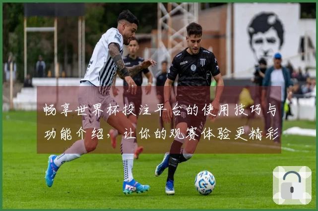 畅享世界杯投注平台的使用技巧与功能介绍，让你的观赛体验更精彩