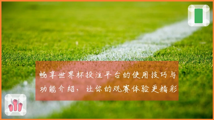 畅享世界杯投注平台的使用技巧与功能介绍，让你的观赛体验更精彩